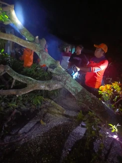 Perkembangan Situasi dan Penanganan Bencana Tanggal 25 April 2025
